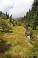 The rising path into the upper Hafren Forest