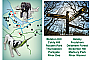 Twenty fabulous walks for you and your dogs