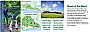 A huge variety of fabulous walks