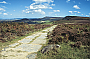 A stone-paved path leads across Scarth Wood Moor (Walk 15)