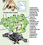 Pick a walk and make your dog's day!
