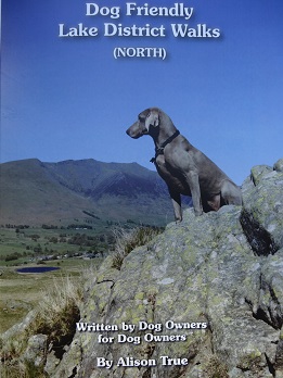 Dog Friendly Lake District Walks (North)