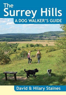 Surrey Hills - A Dog Walker's Guide
