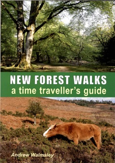 New Forest Walks - A time traveller's guide