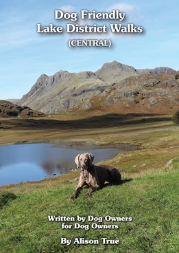 Dog Friendly Lake District Walks (Central)