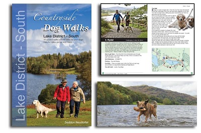 Countryside Dog Walks in The Lake District - South